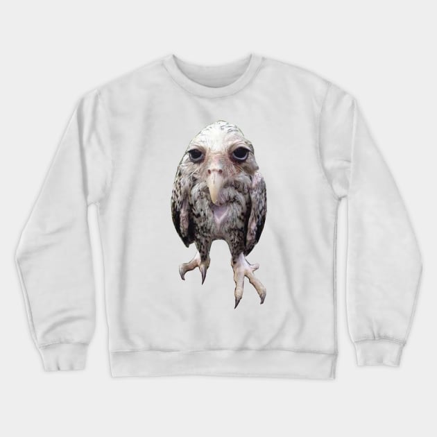 Wet owl Crewneck Sweatshirt by giovanniiiii